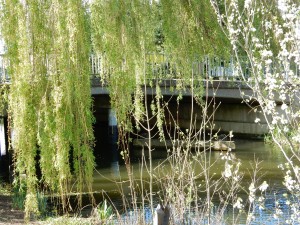 DSCN0659